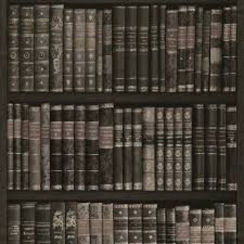 525823